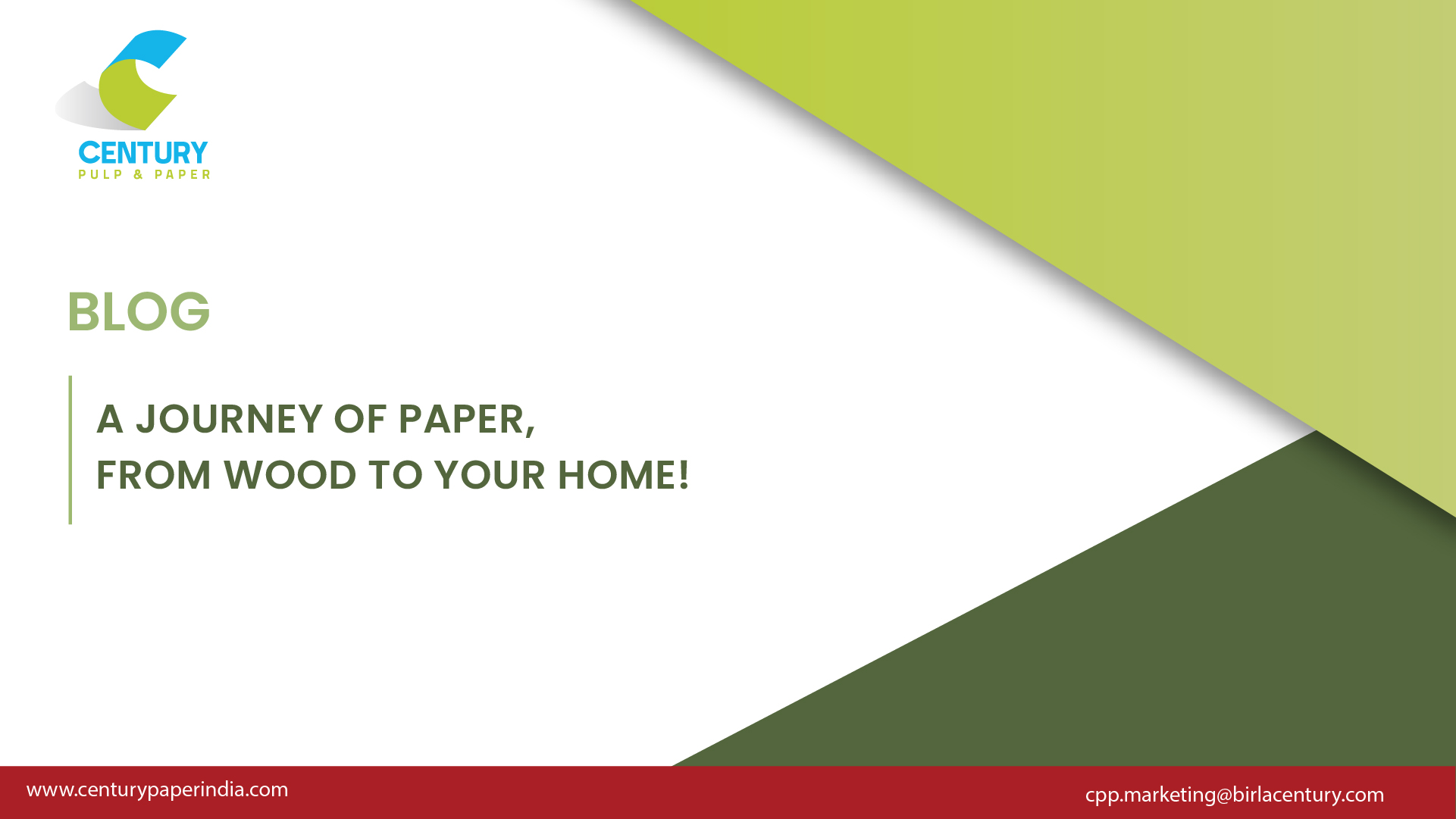A journey of paper, from wood to your home!